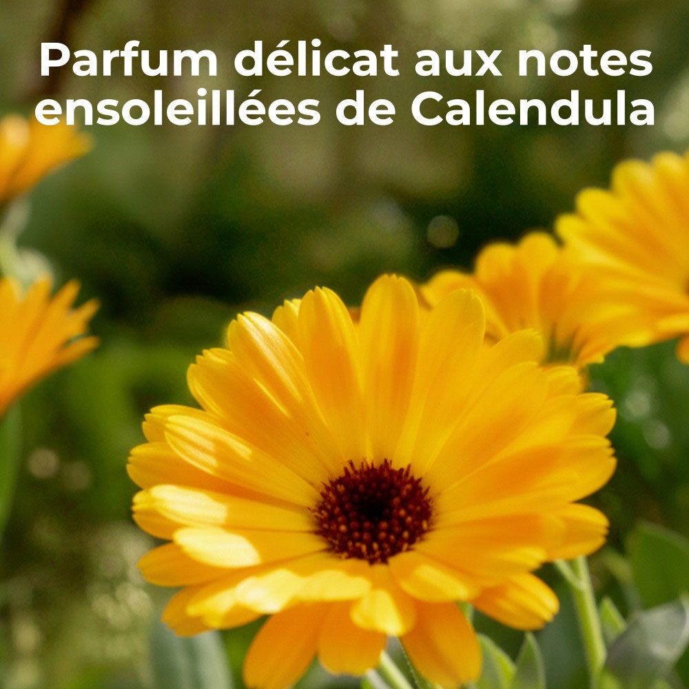Fleurs jaunes au premier plan. Texte : Parfum délicat aux notes ensoleillées de Calendula.