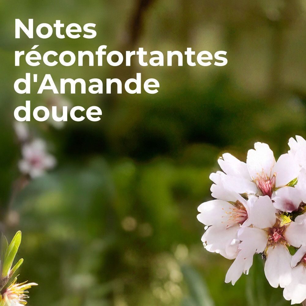 Gros plan sur des fleurs. Texte: Notes réconfortantes d'Amande douce.