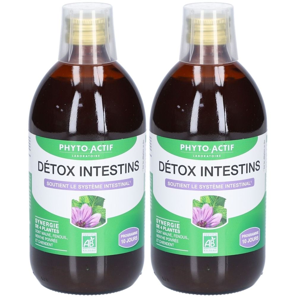 Deux flacons de liquide brun. Étiquette "PHYTO-ACTIF DÉTOX INTESTINS". Étiquettes vertes et blanches avec texte et logo.