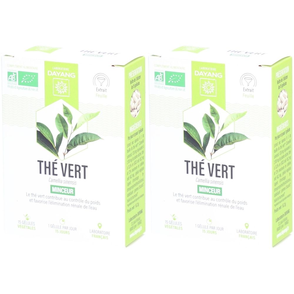 Deux boîtes vertes de «Thé Vert». Logo de feuilles et texte. Certification biologique.