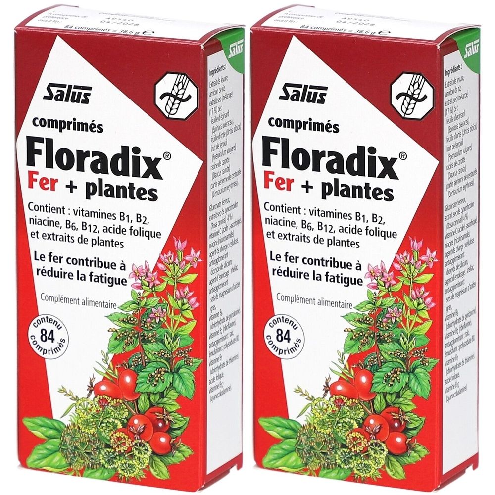 Deux boîtes rectangulaires de « Salus Floradix Fer + plantes ». Contient 84 comprimés. Emballage rouge avec motif floral et texte.