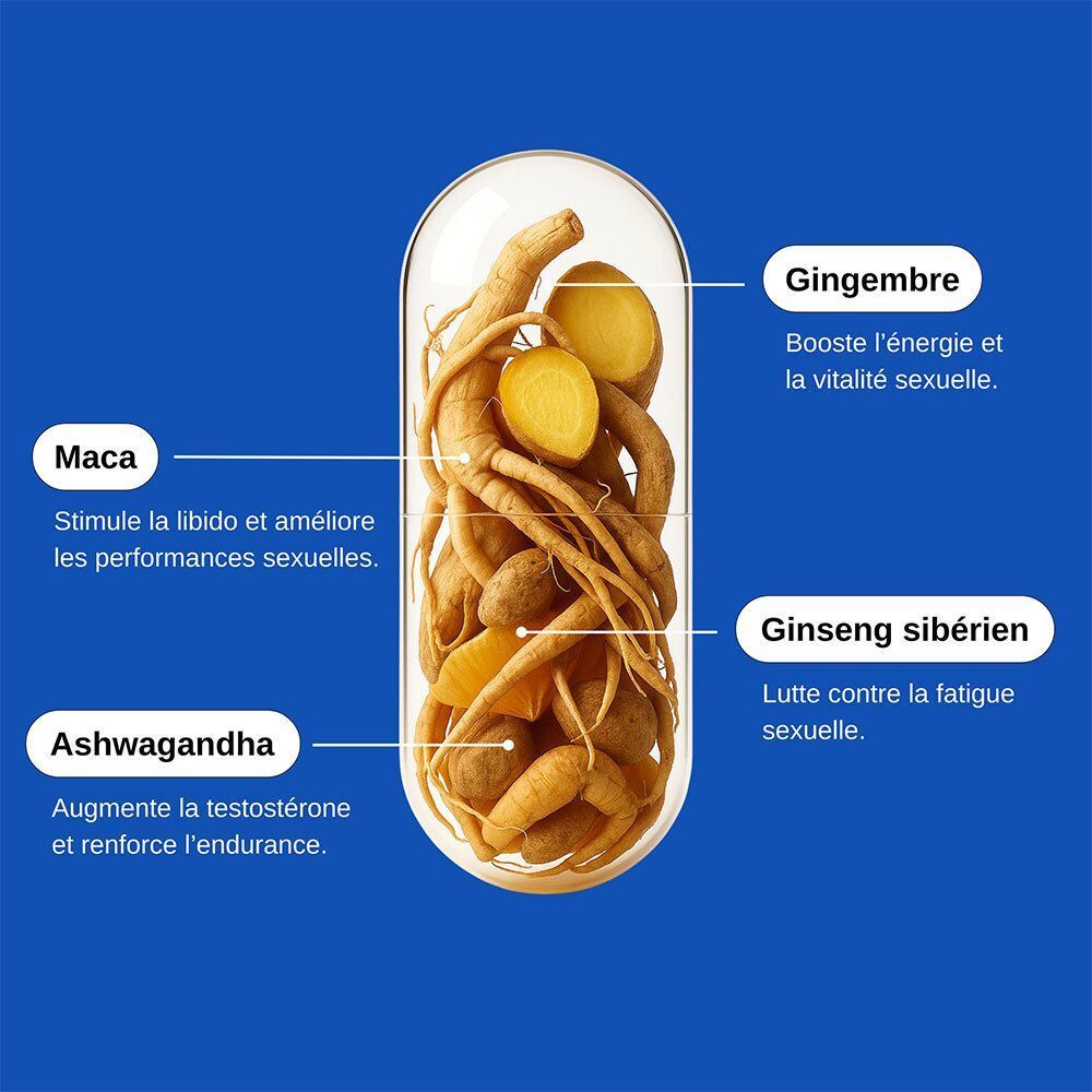 Gélule avec ingrédients: Gingembre, Maca, Ginseng sibérien, Ashwagandha. Fond bleu.