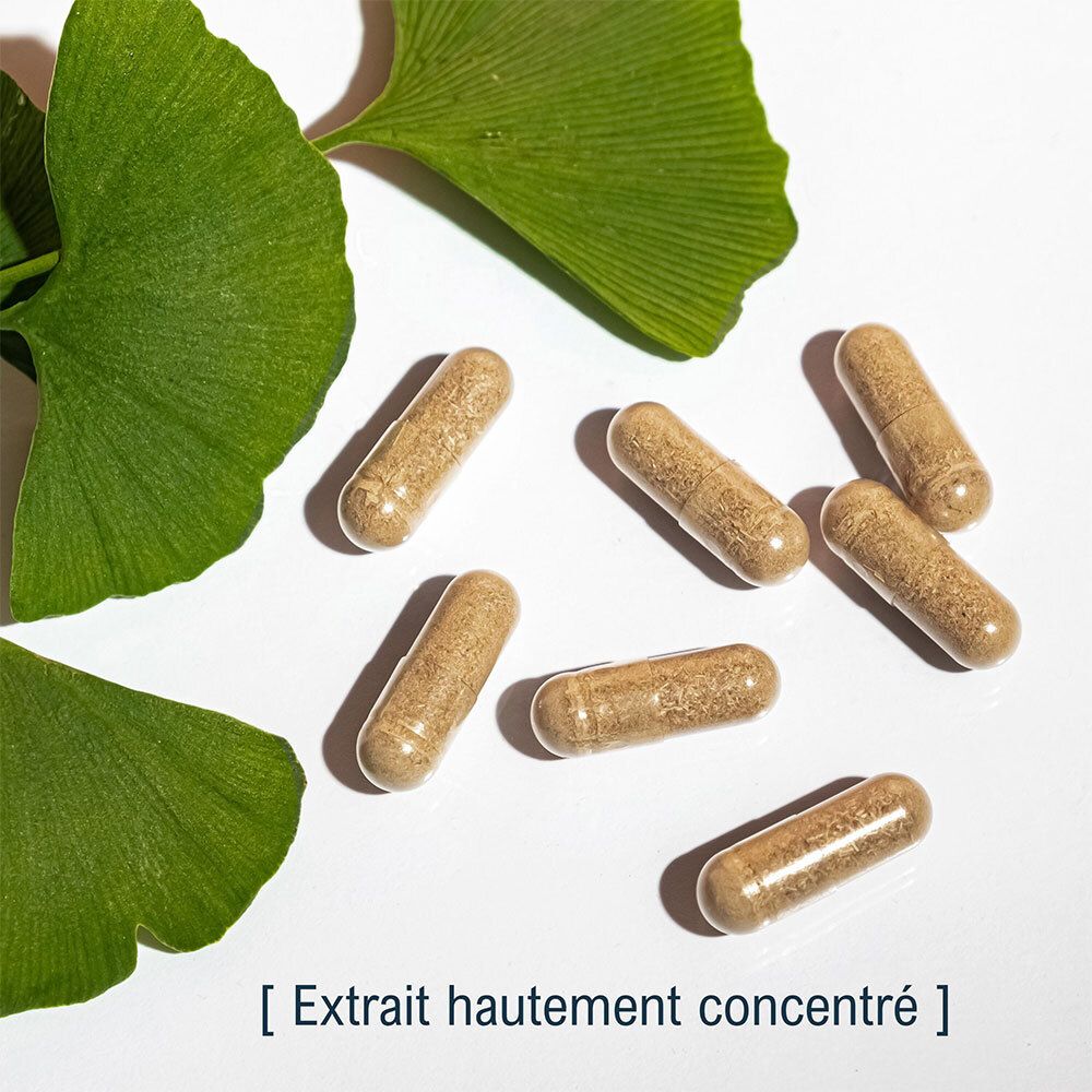 Gélules brunes et feuilles de Ginkgo. Texte: [Extrait hautement concentré].