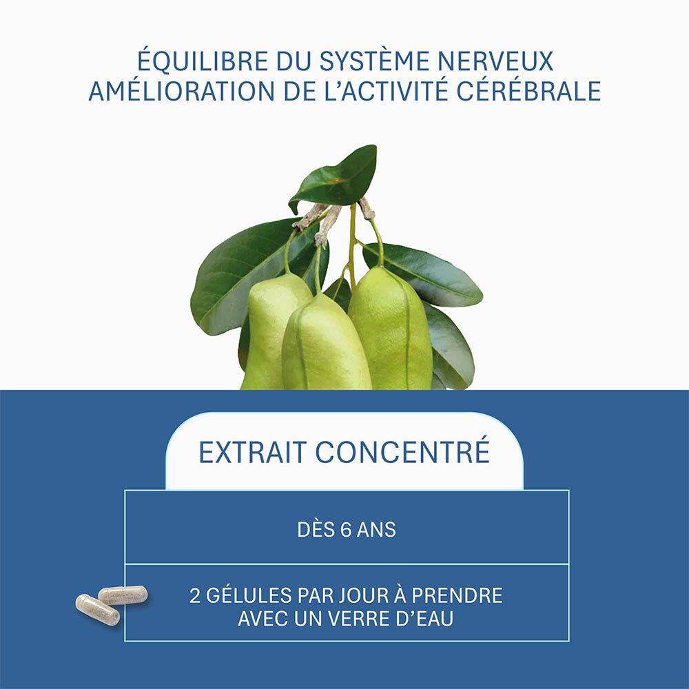 Graphique bleu avec texte: ÉQUILIBRE DU SYSTÈME NERVEUX. Illustration de fruits. Texte: EXTRAIT CONCENTRÉ.