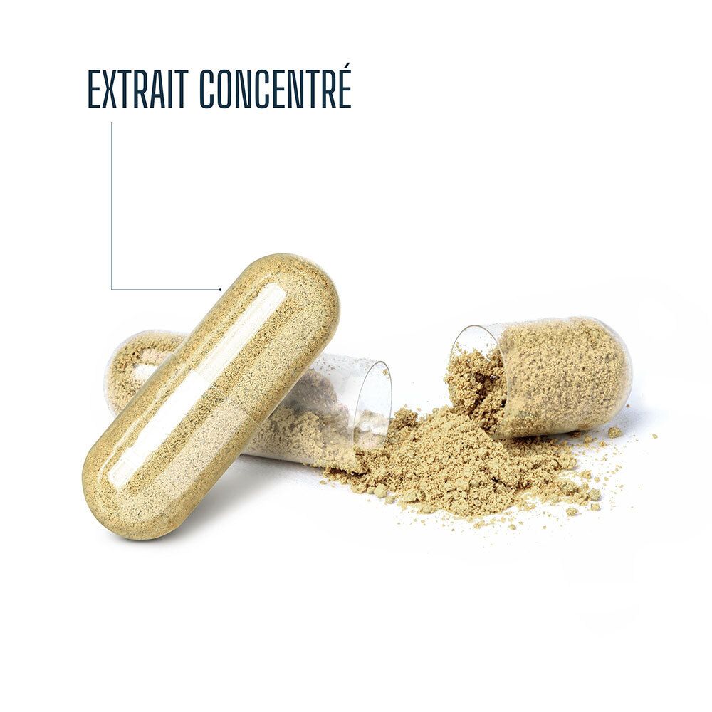Gros plan d'une gélule ouverte. Contenu: poudre brune. À côté, une gélule entière.