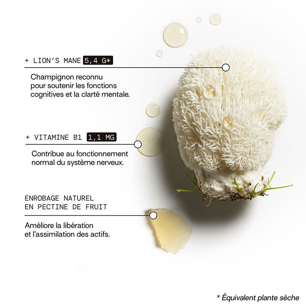 Gros plan sur champignon crinière de lion et gouttes. Texte avec infos ingrédients et effets.
