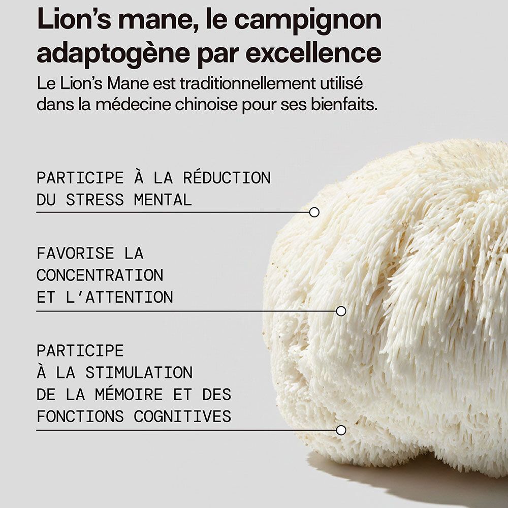 Texte avec infos sur Lion's Mane. Décrit avantages et utilisation traditionnelle.