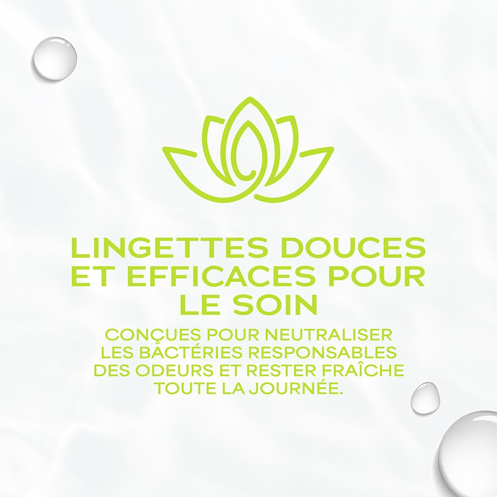Lingettes intimes WaterWipes : soin doux et efficace pour neutraliser les odeurs.