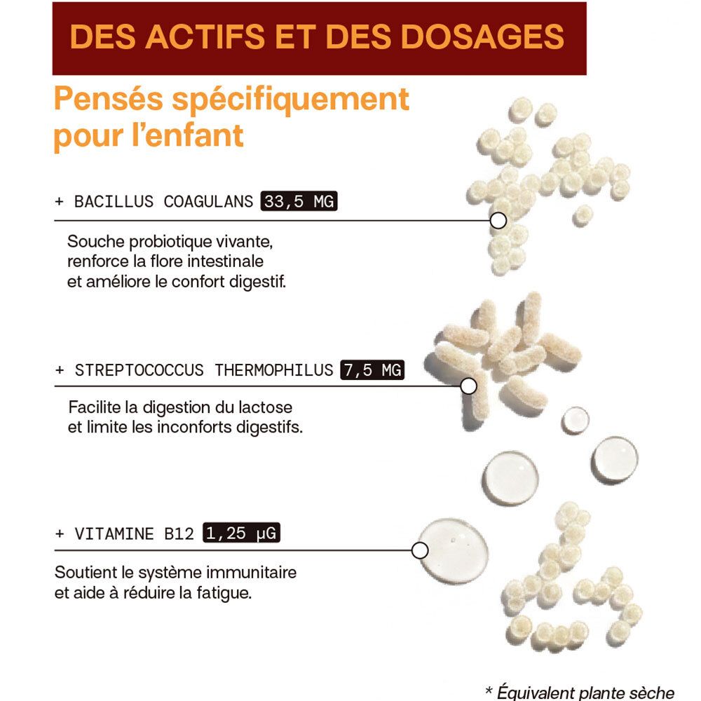 Actifs et dosages: Bacillus Coagulans, Streptococcus Thermophilus, Vitamine B12.