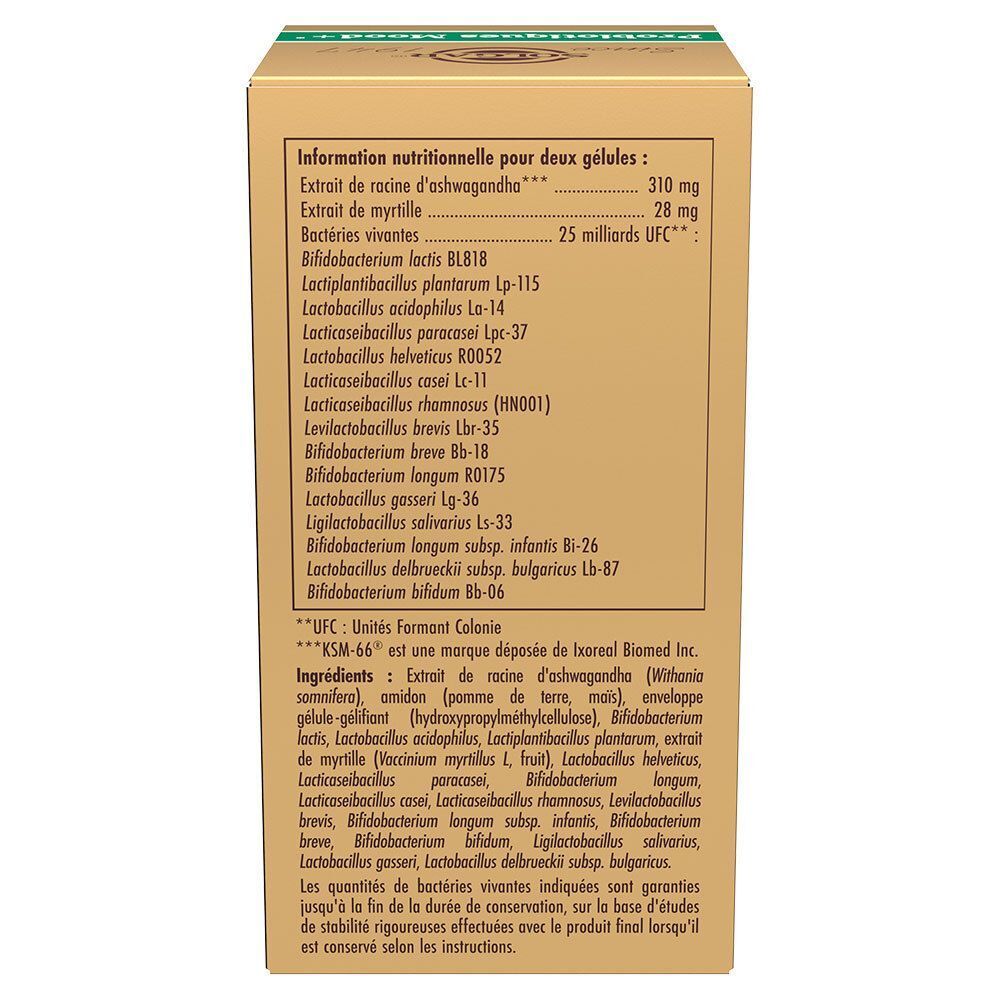 Détail de la liste des ingrédients sur l'emballage SOLGAR Probiotiques Mood+. Texte sur fond beige-brun. Contient ingrédients et informations nutritionnelles.