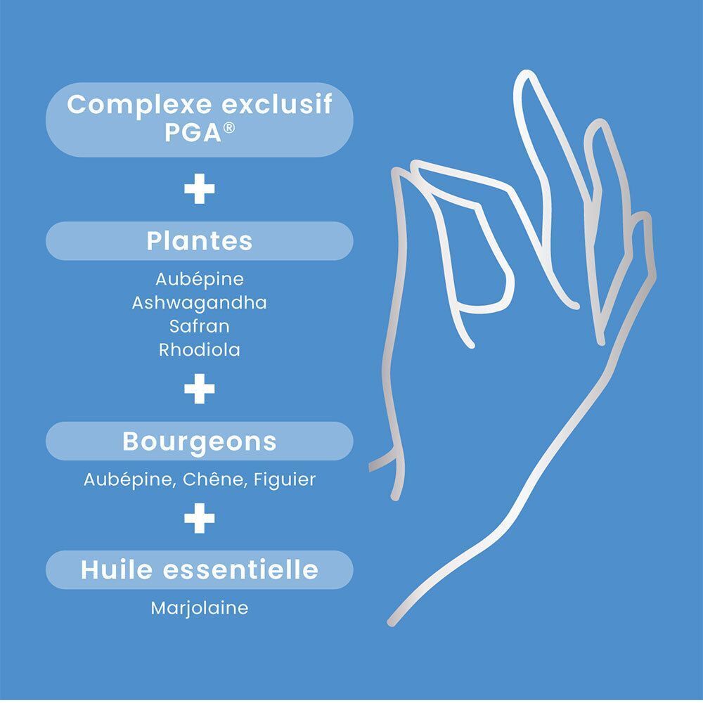 Représentation graphique des ingrédients. Complexe PGA, plantes, bourgeons, huile essentielle. Dessin de main.