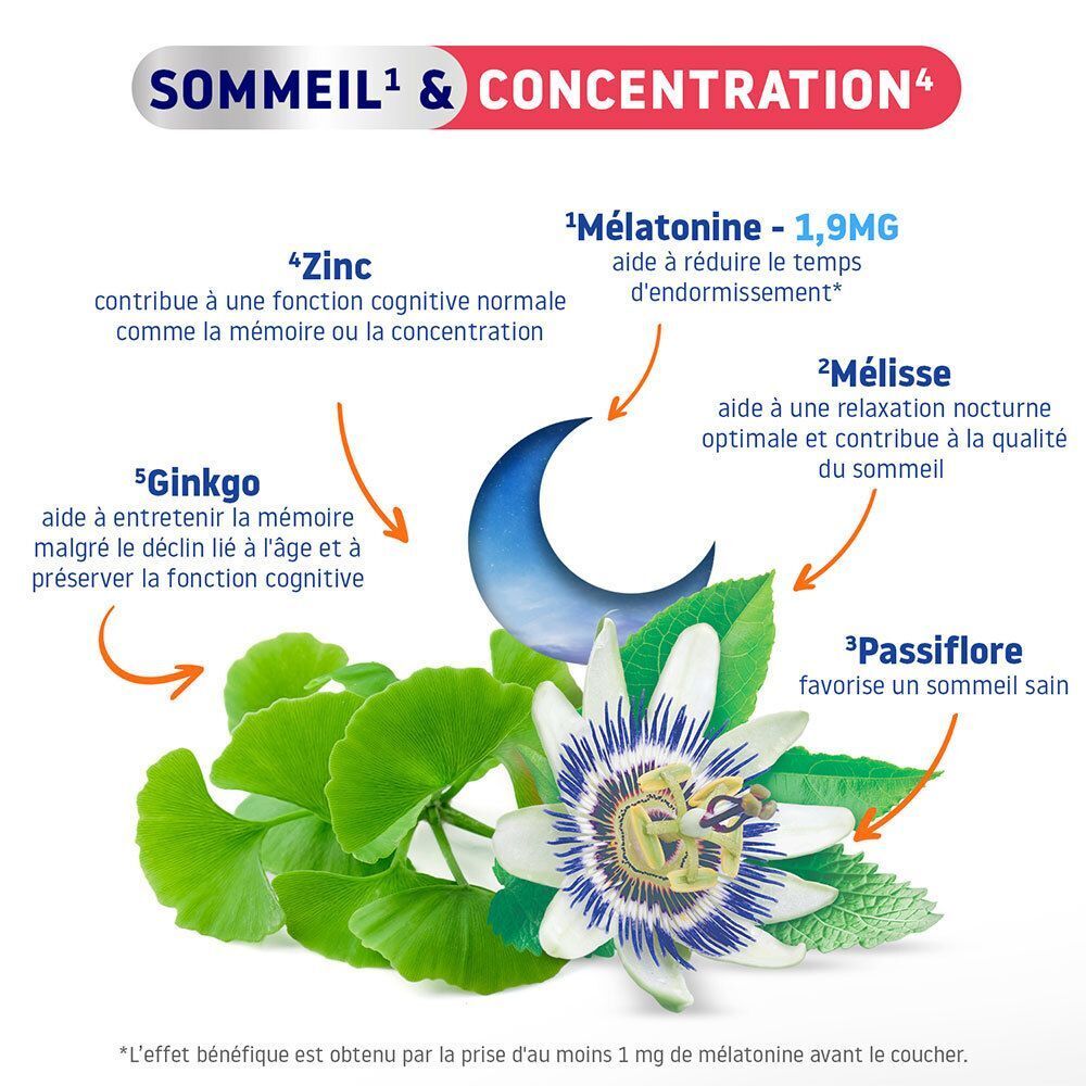 Infographie : Ingrédients pour le sommeil et la concentration. Mélatonine, mélisse, passiflore et ginkgo.