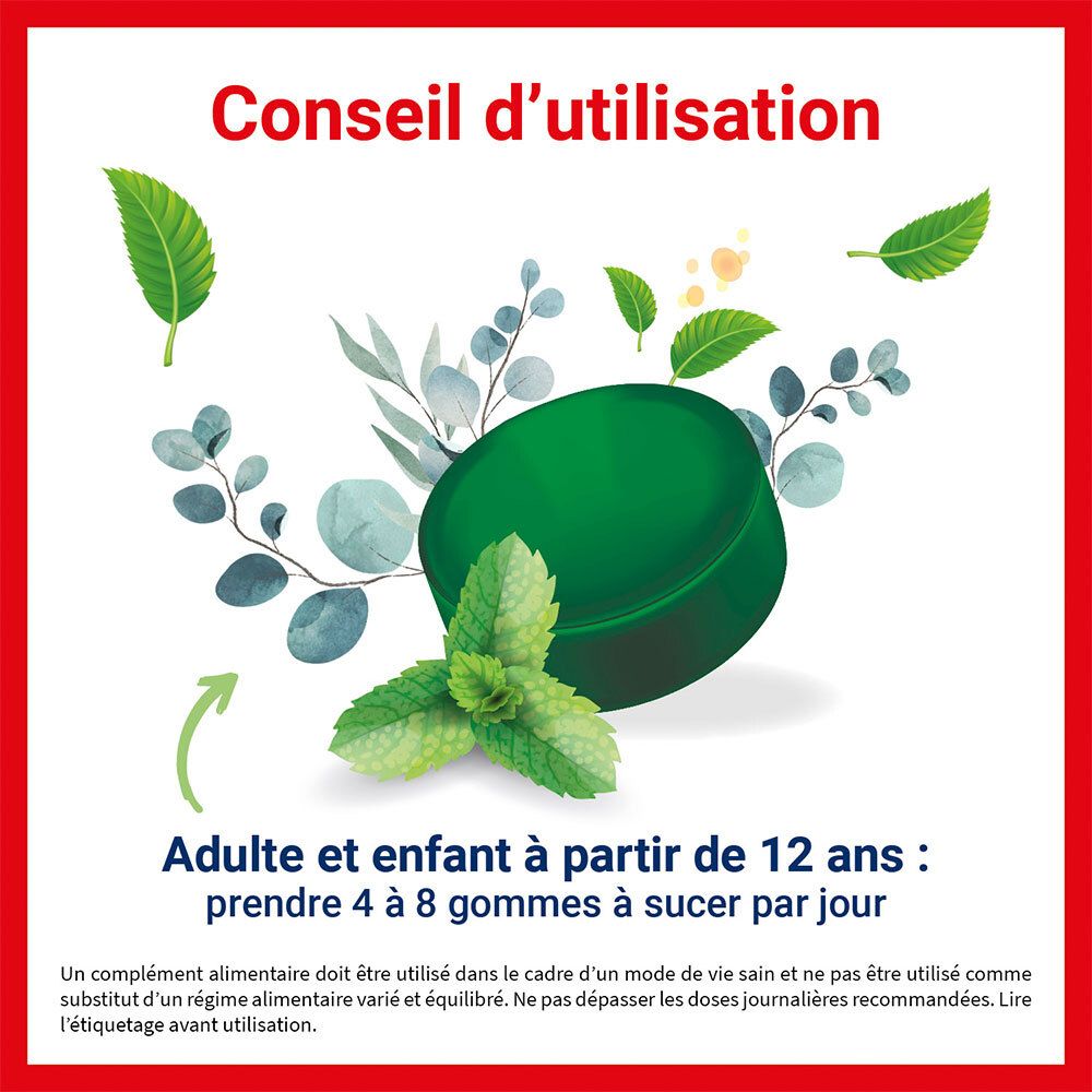 Pastille verte avec feuilles de menthe et d'eucalyptus.