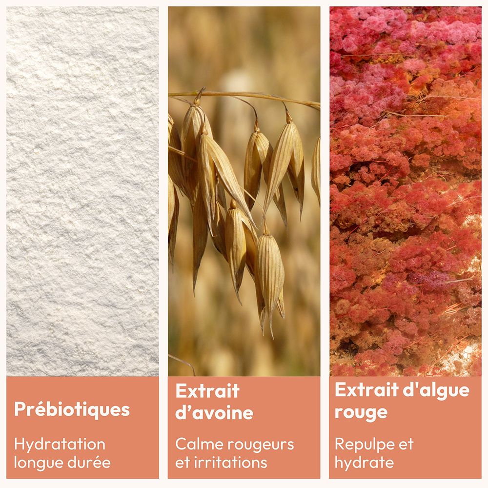 Trois images montrent des prébiotiques, des épis d'avoine et des algues rouges.