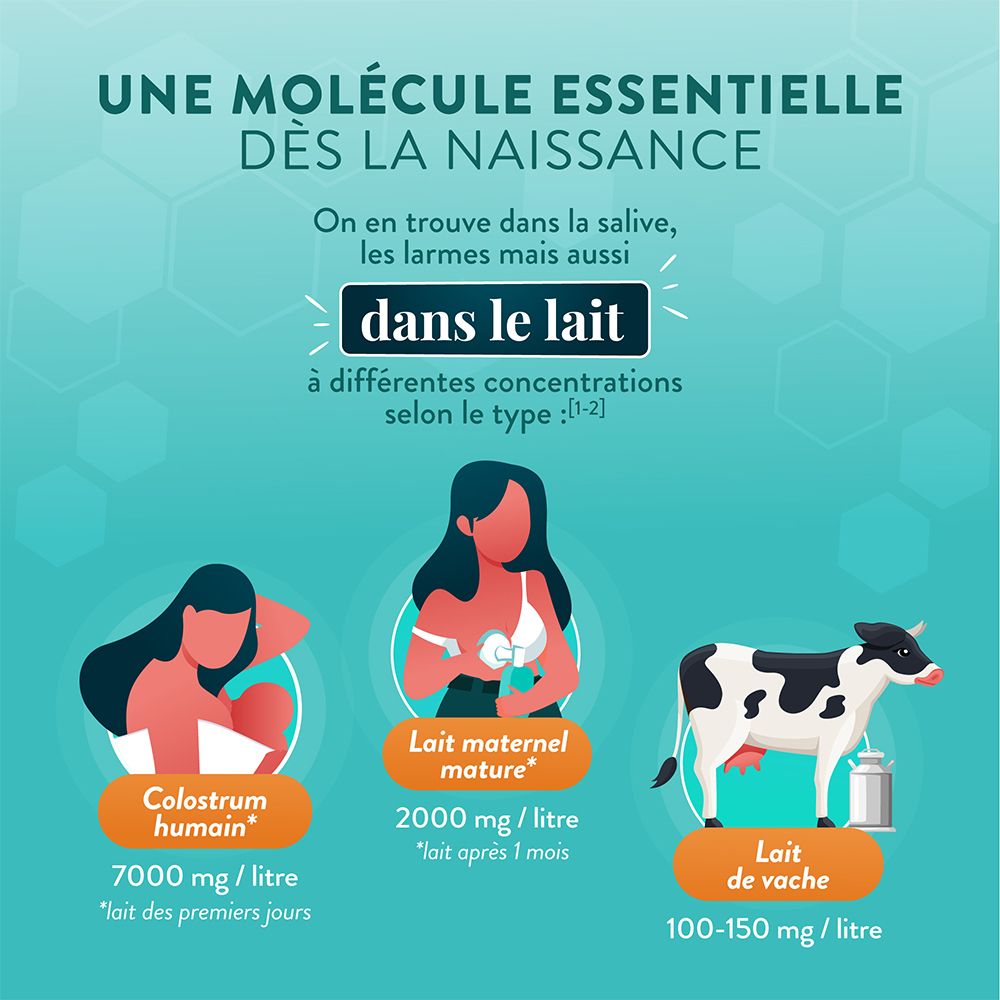 Comparaison des concentrations de lactoferrine dans le lait maternel humain, le colostrum et le lait de vache.