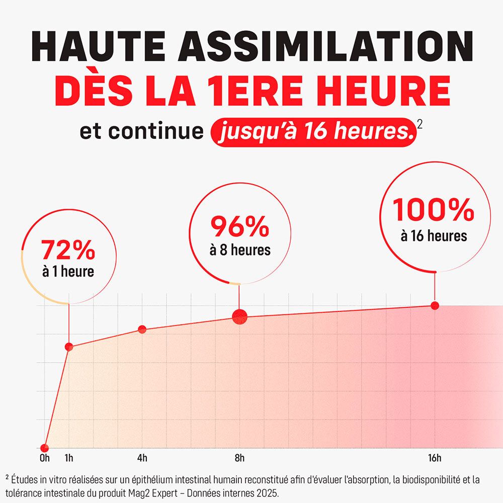 Haute assimilation du magnésium : 72% à 1h, 96% à 8h, 100% à 16h. Graphique montrant l'absorption.