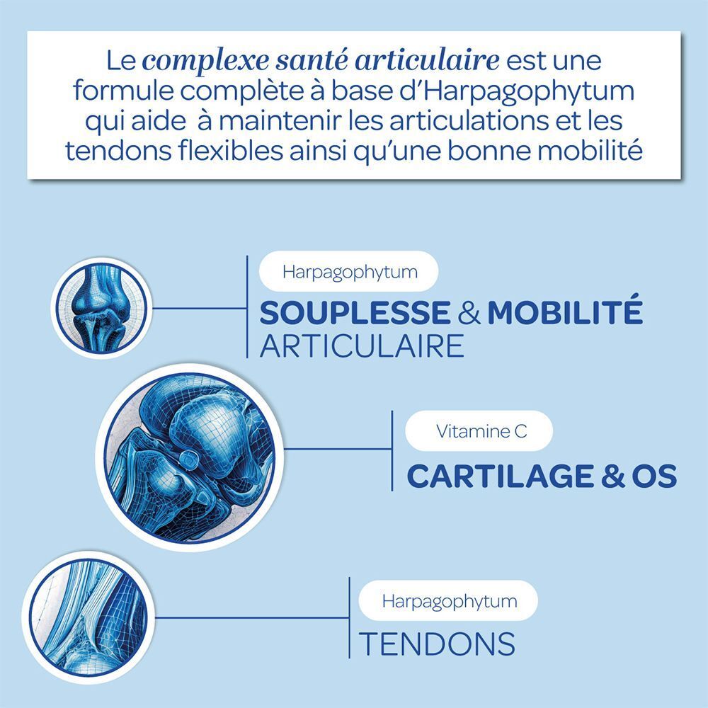 Graphiques illustrant les bienfaits du Superdiet Collagène Marin pour les articulations, le cartilage, les os et les tendons.