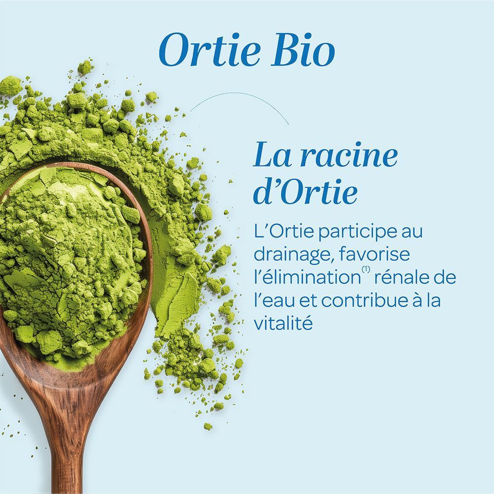 Cuillère en bois avec poudre verte d'ortie. Texte sur les bienfaits de l'ortie pour l'élimination rénale.