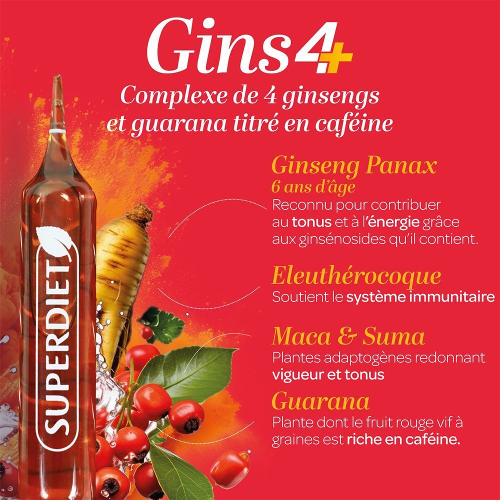Graphique rouge avec une ampoule et des ingrédients. Texte: Gins4, complexe de 4 ginsengs et guarana. Ginseng Panax, Eleuthérocoque, Maca & Suma, Guarana.
