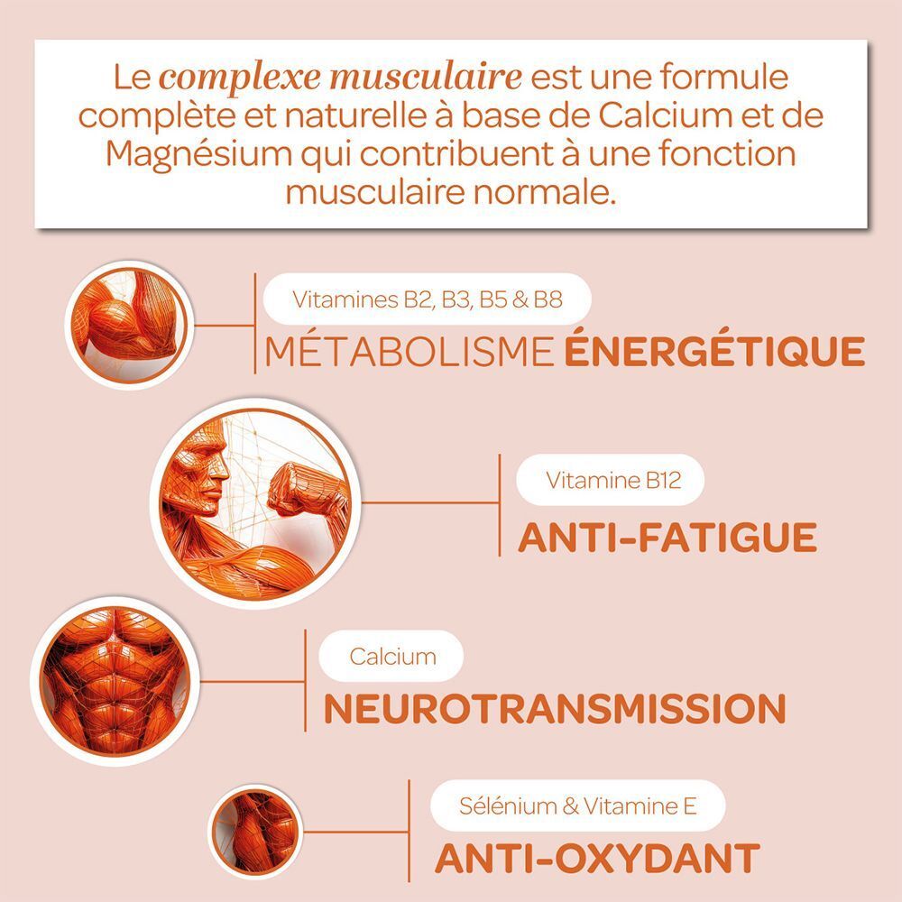 Graphique avec des informations sur les ingrédients. Texte: Vitamines B2, B3, B5 & B8, métabolisme. Vitamine B12, anti-fatigue. Calcium, neurotransmission.