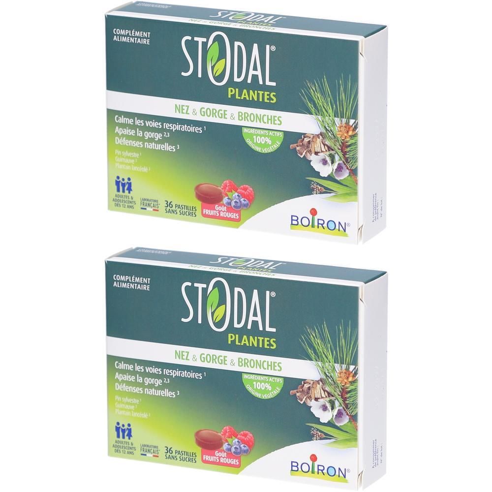 Deux boîtes de STODAL PLANTES. Inscription: Nez & Gorge & Bronches. Contient 36 pastilles. Marque: Boiron. Design vert et blanc.