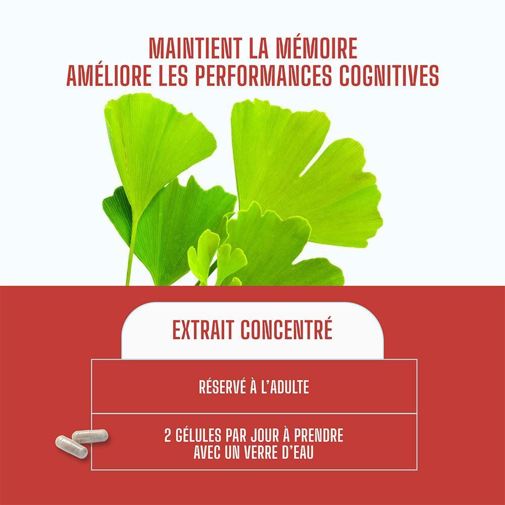 Feuilles de ginkgo vertes. Texte : « MAINTIENT LA MÉMOIRE ». « 2 gélules par jour à prendre avec un verre d'eau ».