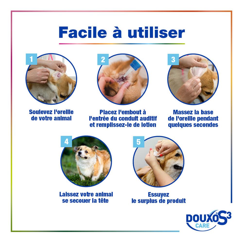 Guide étape par étape pour l'utilisation du nettoyant auriculaire DOUXO S3 CARE sur des chiens.