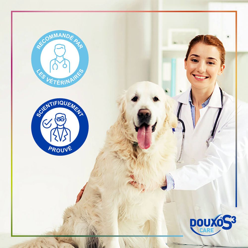 Vétérinaire avec un Golden Retriever, logo DOUXO S3 CARE et sceaux 'Recommandé par les vétérinaires'.