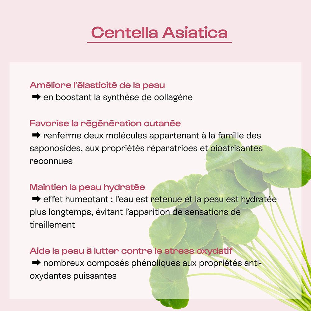 Focus sur la Centella Asiatica et ses bienfaits pour l'élasticité et l'hydratation de la peau.