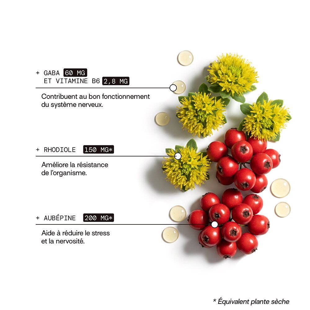Ingrédients pour le système nerveux : GABA, Vitamine B6, Rhodiola, Aubépine.