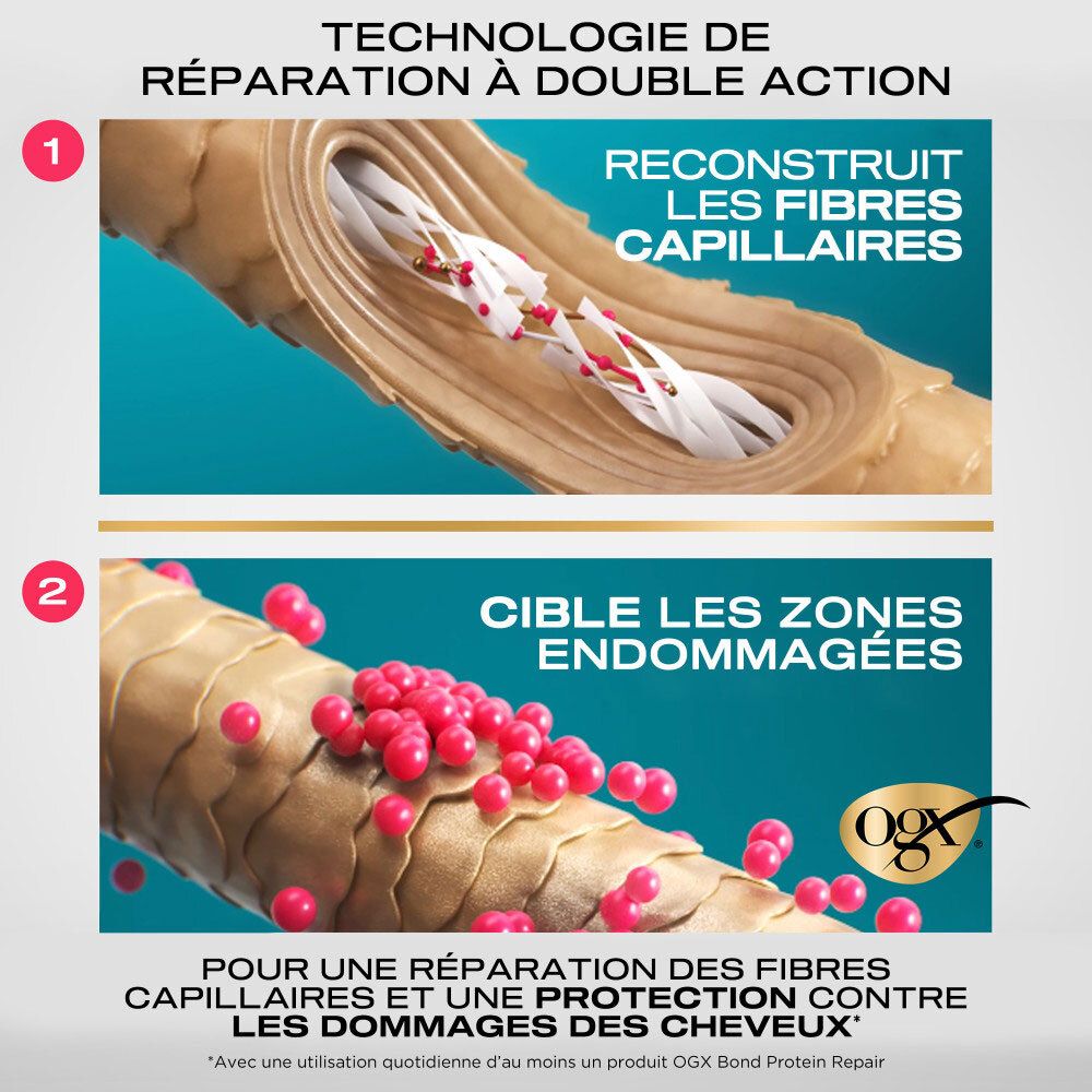 Graphique illustrant l'action de réparation double du conditionneur OGX Bond Protein Repair sur les fibres capillaires.