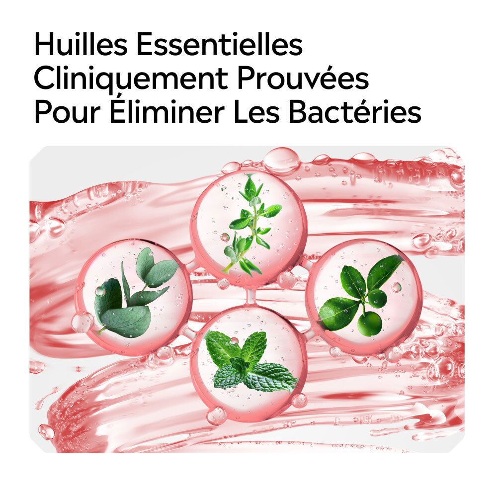 Quatre cercles avec des herbes et des feuilles : eucalyptus, thym, menthe, agrumes.