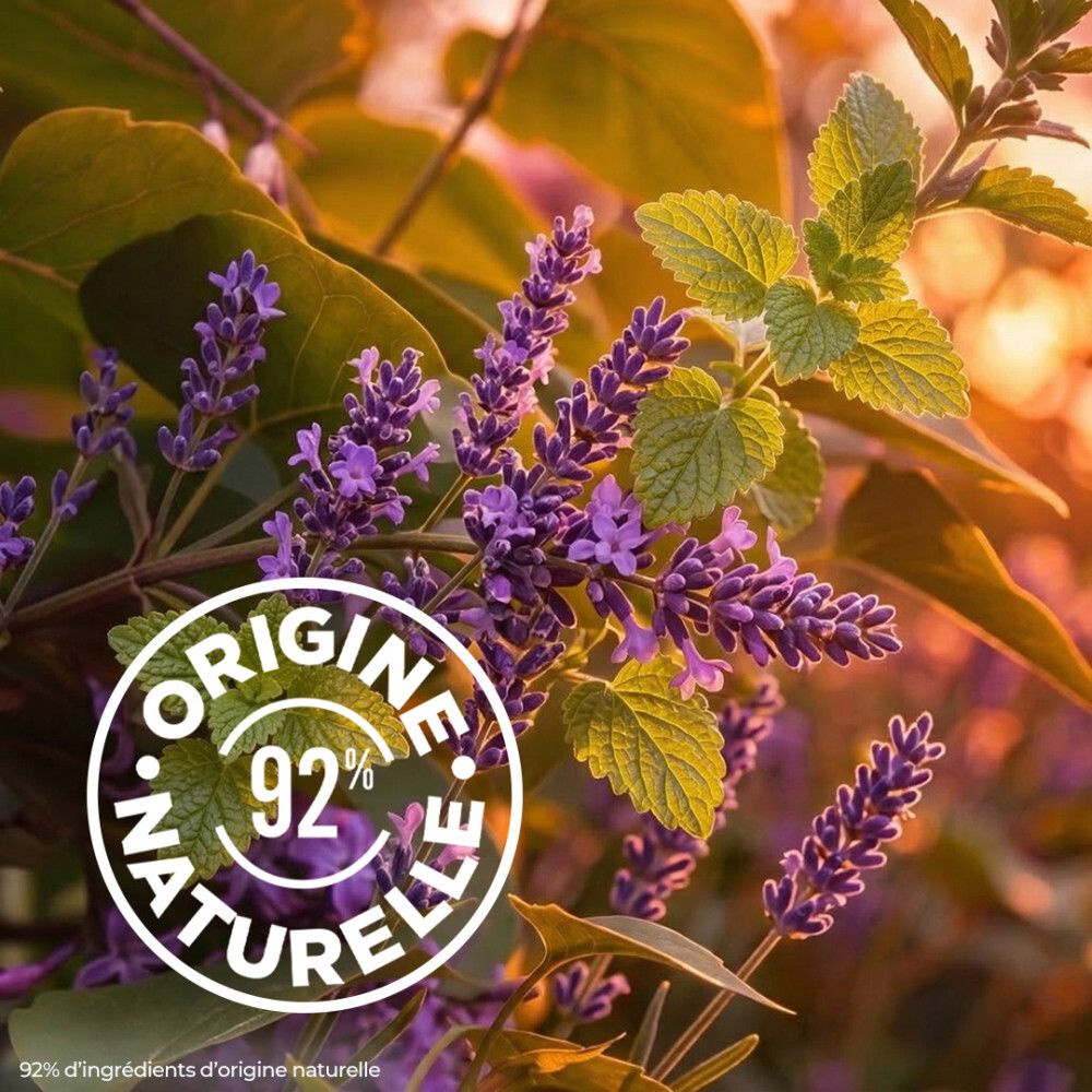 Gros plan de lavande et de menthe avec un sceau d'ingrédients naturels.