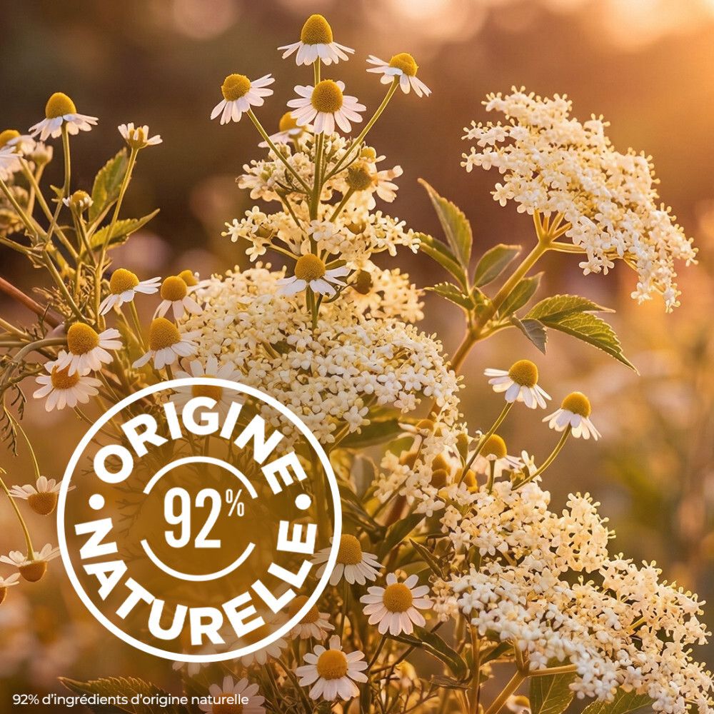 Gros plan de camomille et fleurs de sureau, 92% d'origine naturelle.