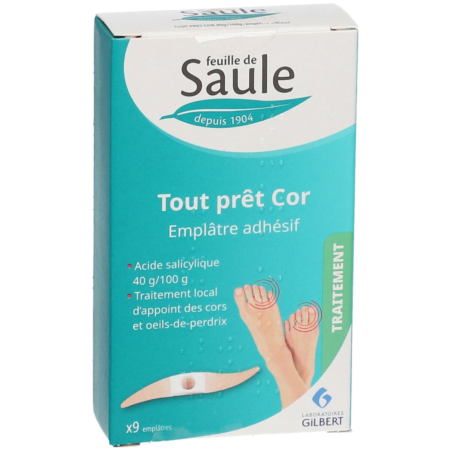 Gilbert feuille de Saule