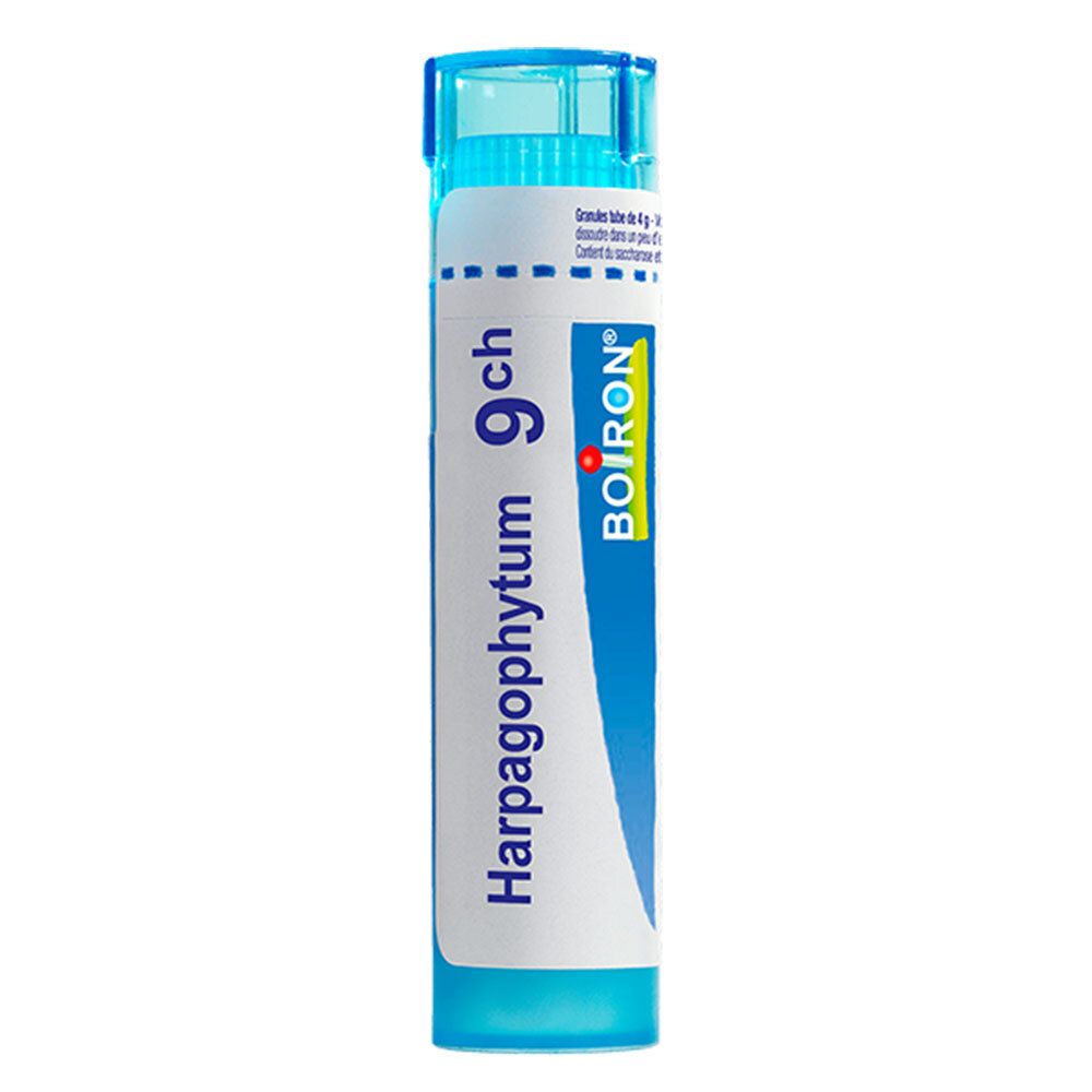 Tube Boiron Harpagophytum 9 ch. Bouchon bleu, étiquettes blanche et bleue.