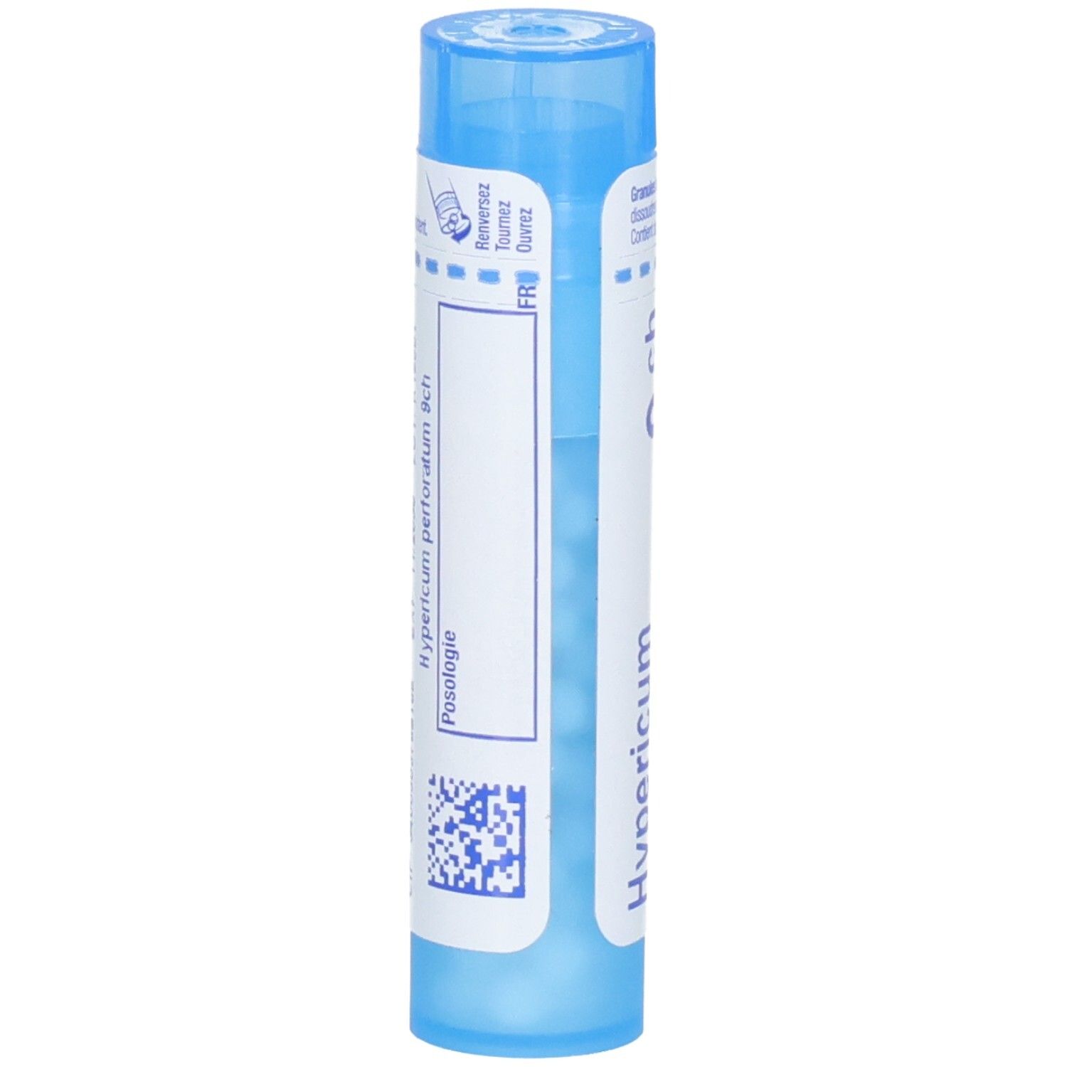 Arrière d'un tube bleu avec granulés, Hypericum perforatum.
