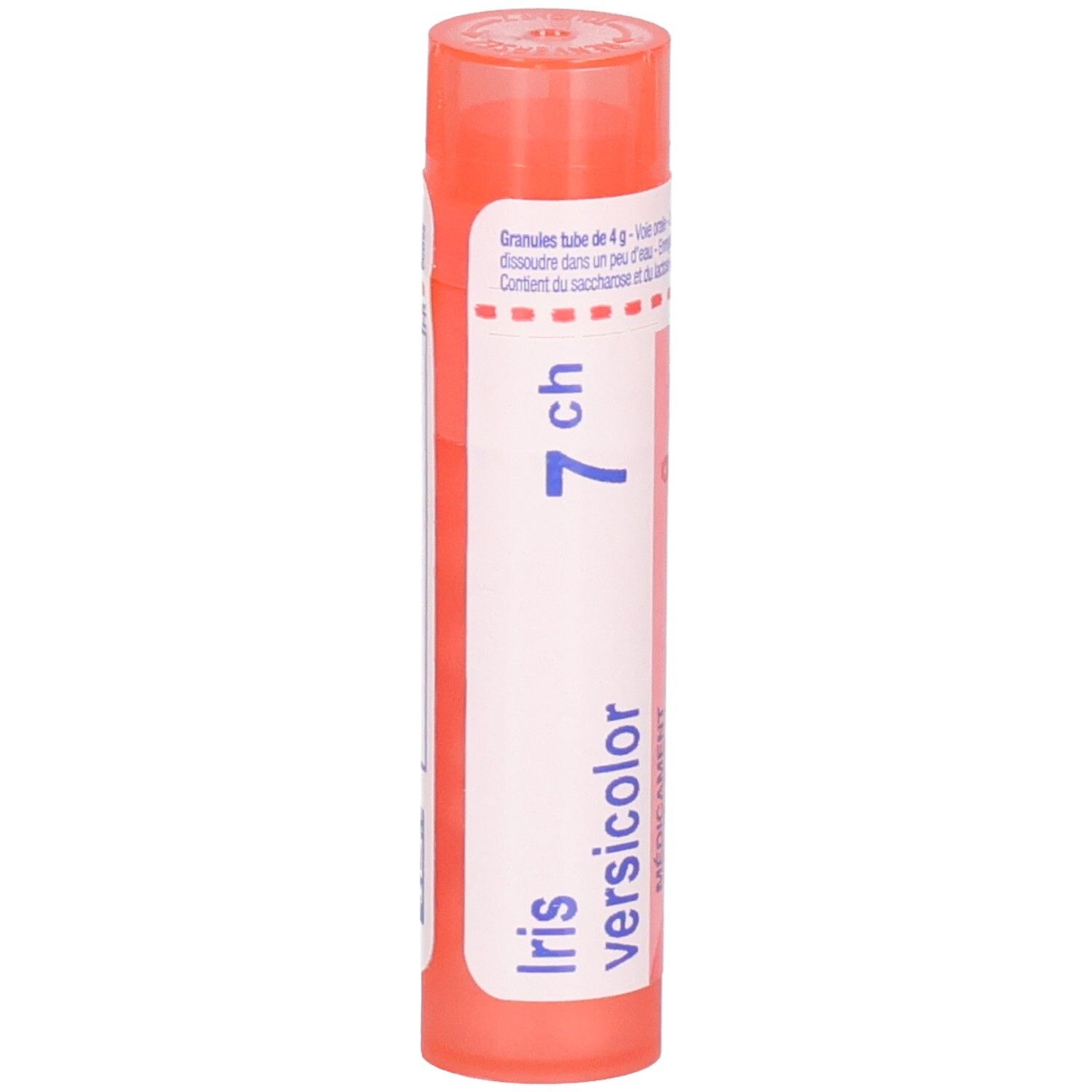 Tube orange de granules, étiquette avec 'Iris versicolor 7 ch'.
