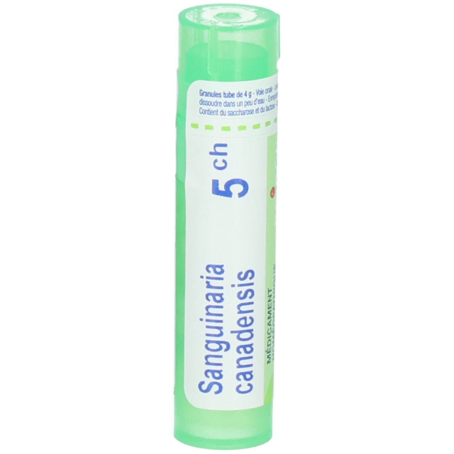 Tube vert contenant des granules Sanguinaria Canadensis 5 CH. Étiquetage en français et allemand.