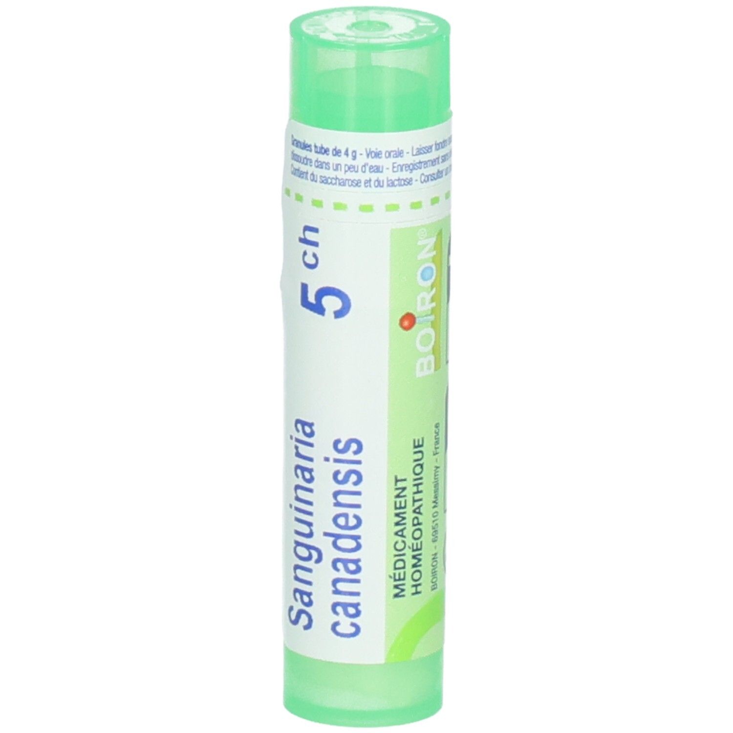 Tube vert Sanguinaria Canadensis 5 CH de Boiron. "Médicament Homéopathique" en français.