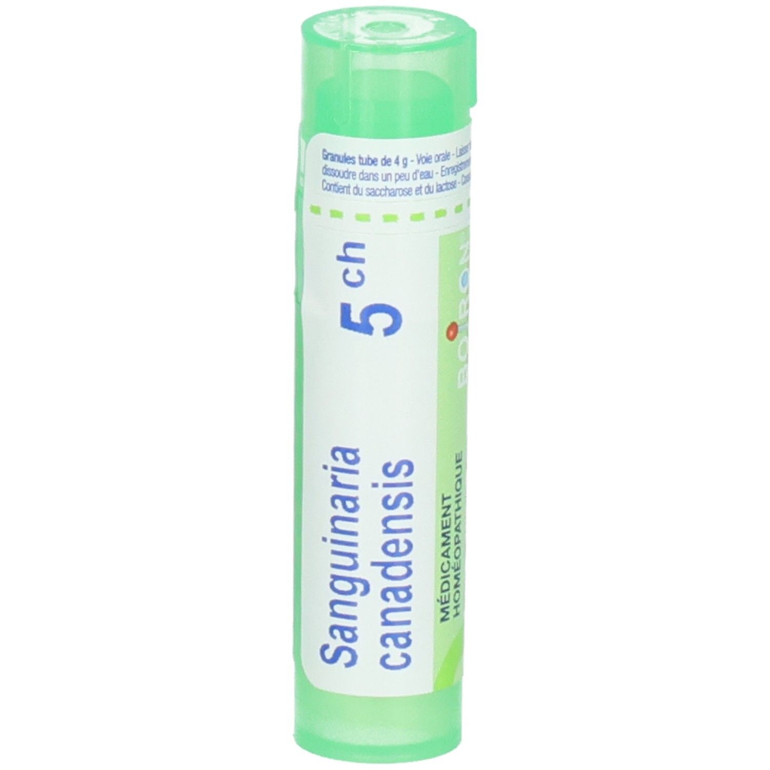 Tube vert contenant des granules Sanguinaria Canadensis 5 CH. Étiquetage en français et allemand.