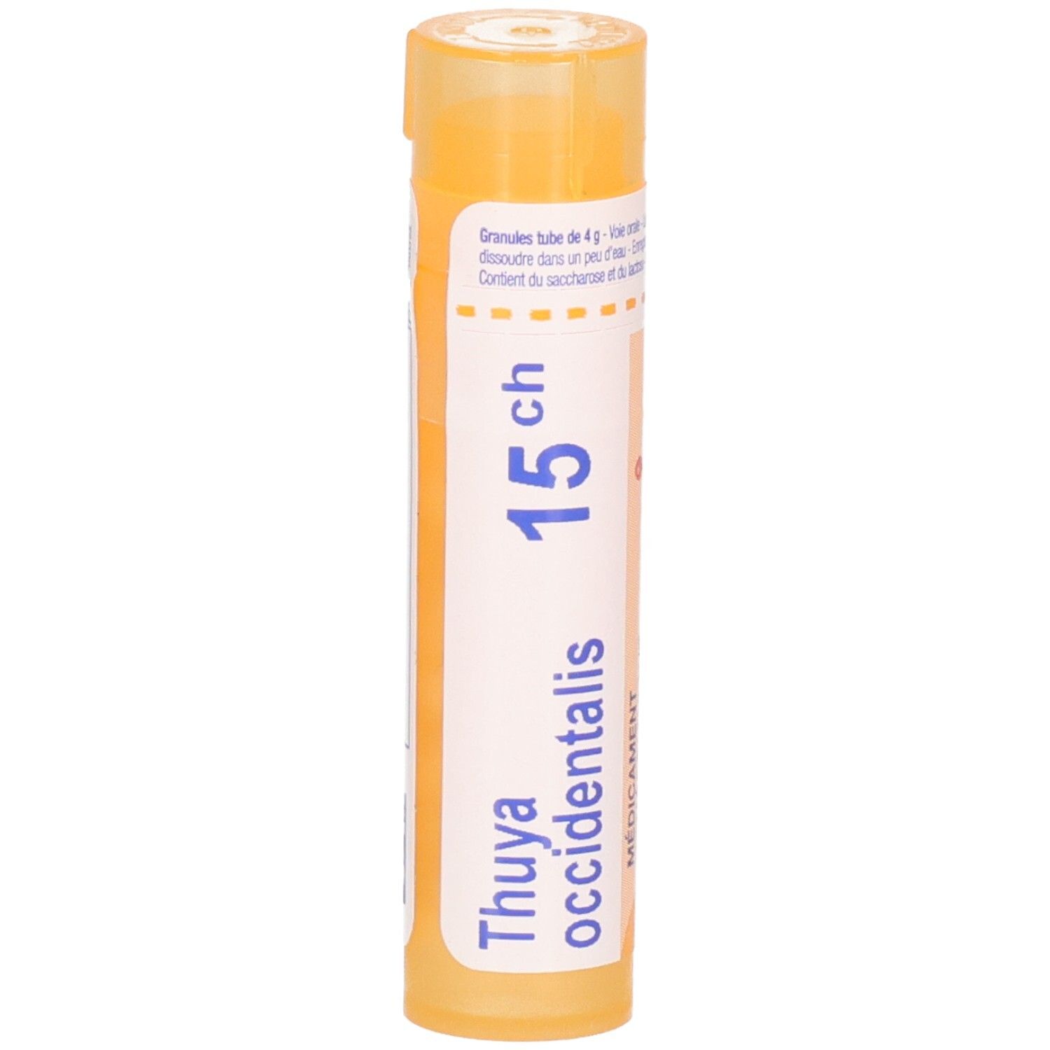 Tube orange de granules, étiquette : Thuya occidentalis 15ch.