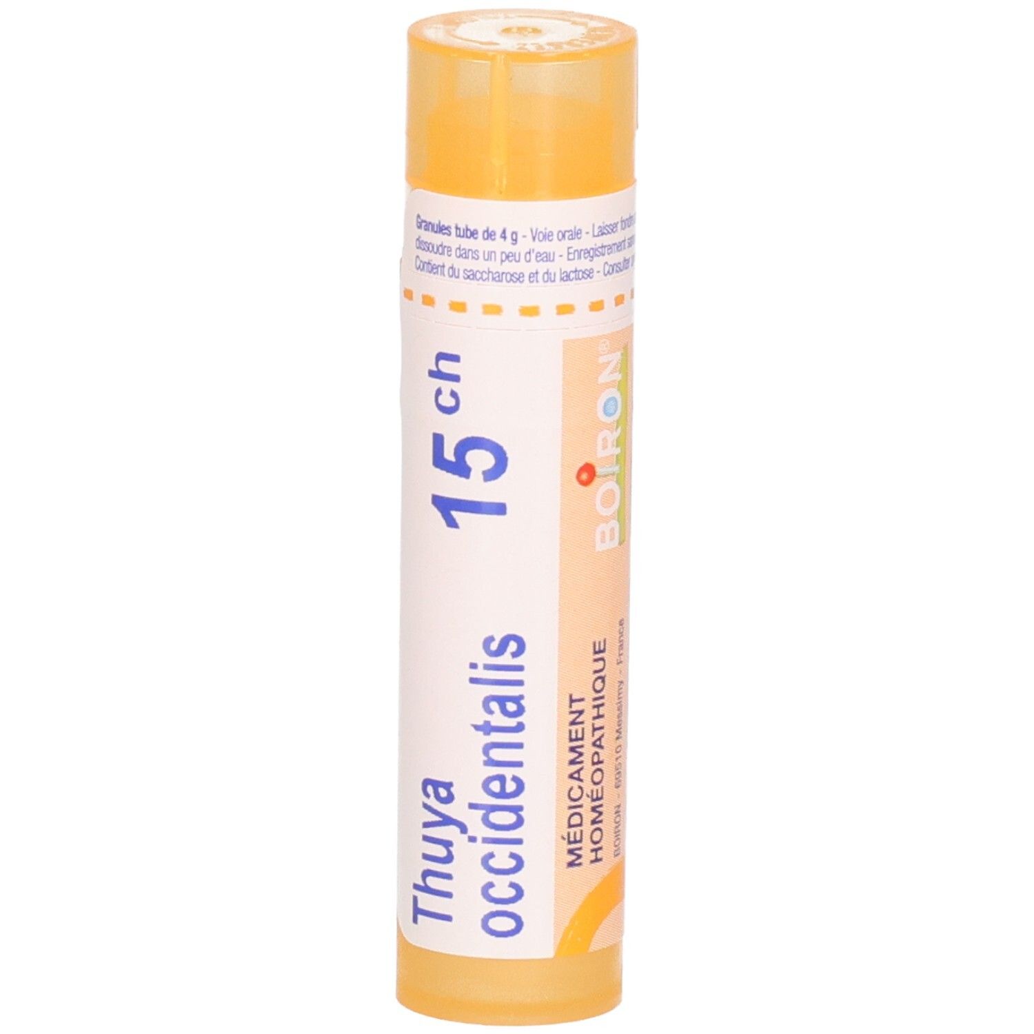 Tube orange de granules, étiquette : Thuya occidentalis 15ch, Boiron.
