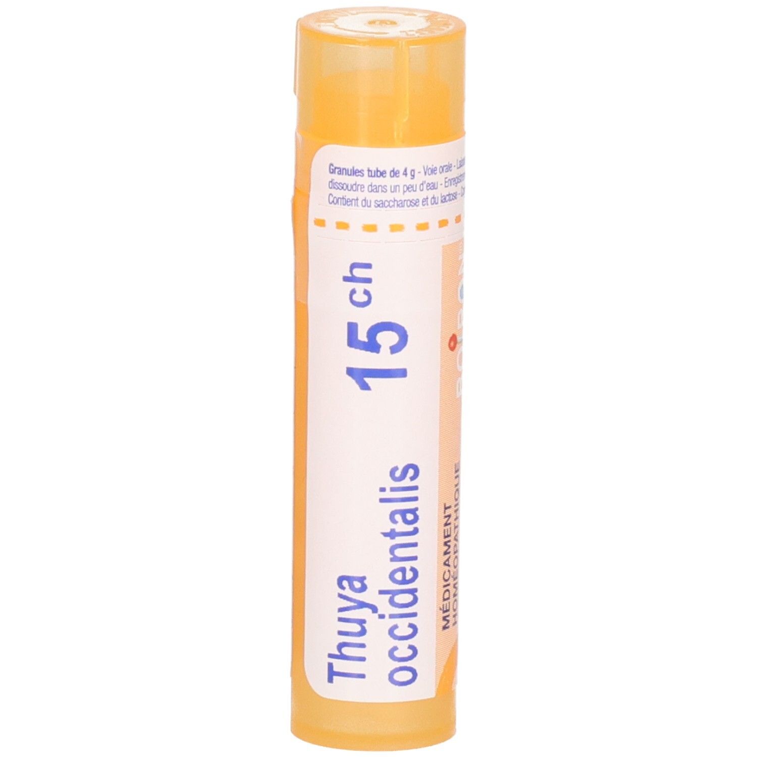 Tube orange de granules, étiquette : Thuya occidentalis 15ch, Boiron.