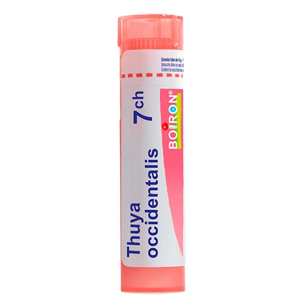 Boiron Thuya Occidentalis 7 ch Tube granules. Emballage rose et blanc avec écriture bleue.