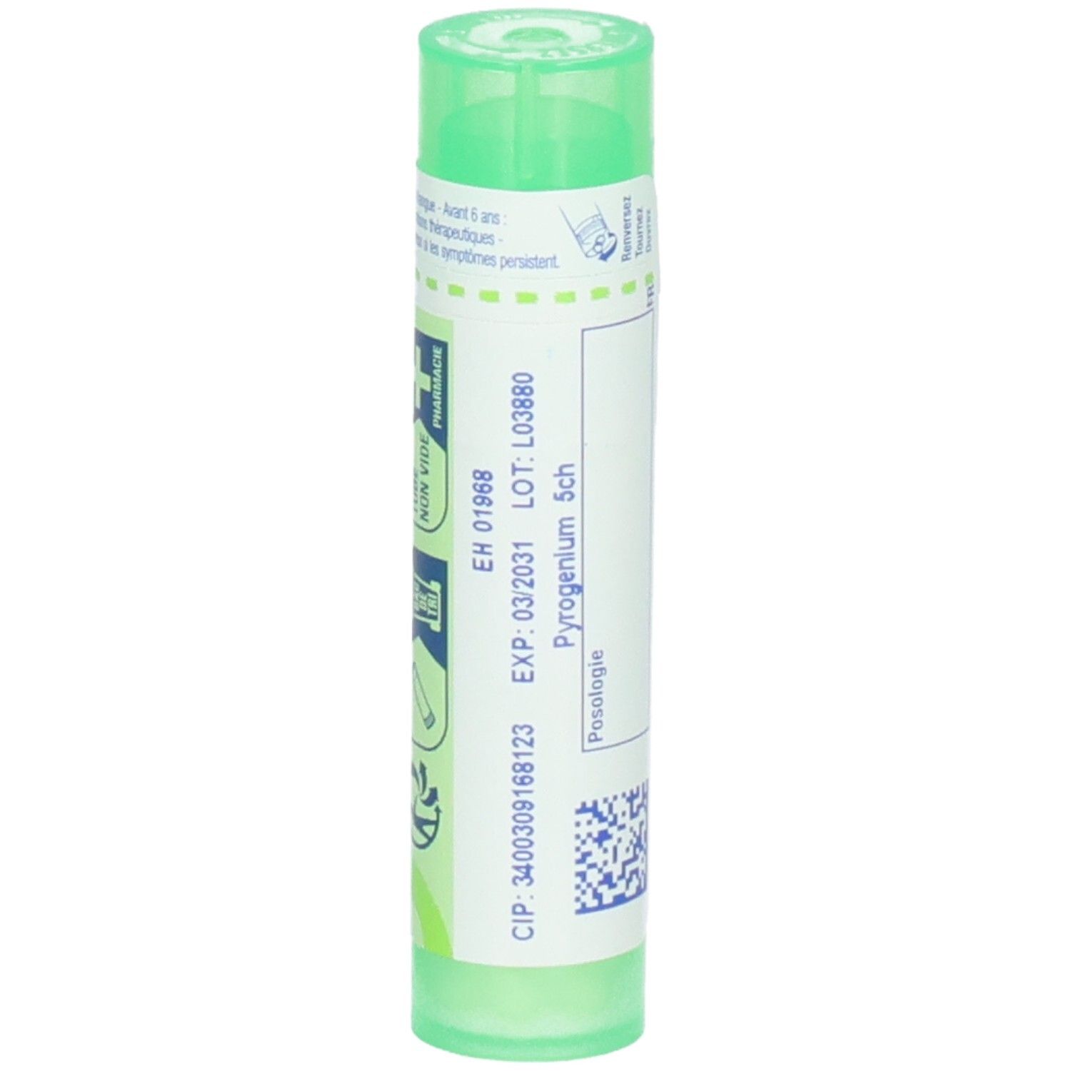 Tube vert avec étiquette, "EXP: 03/2031" et "Pyrogenium 5ch".