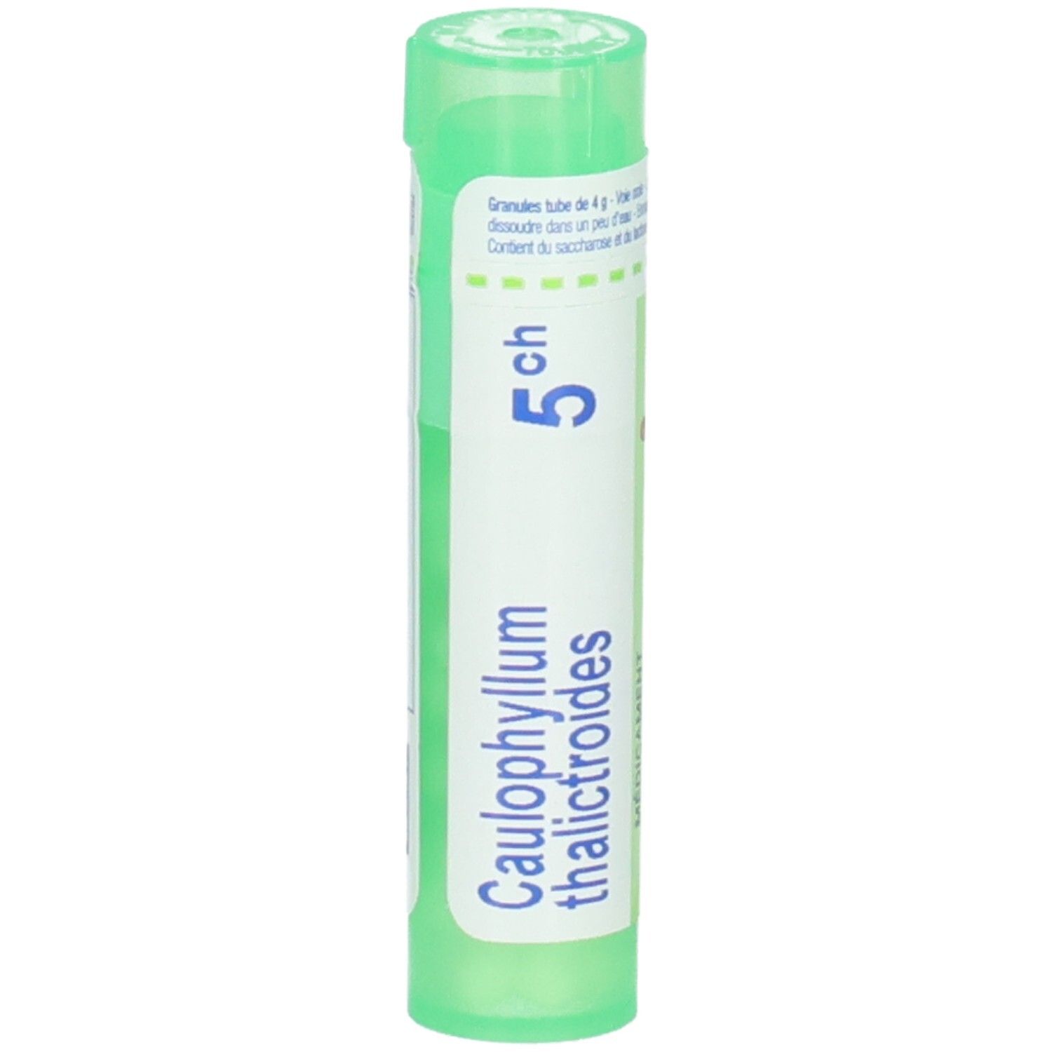Tube vert avec étiquette blanche, Caullophyllum thalictroides 5 ch.