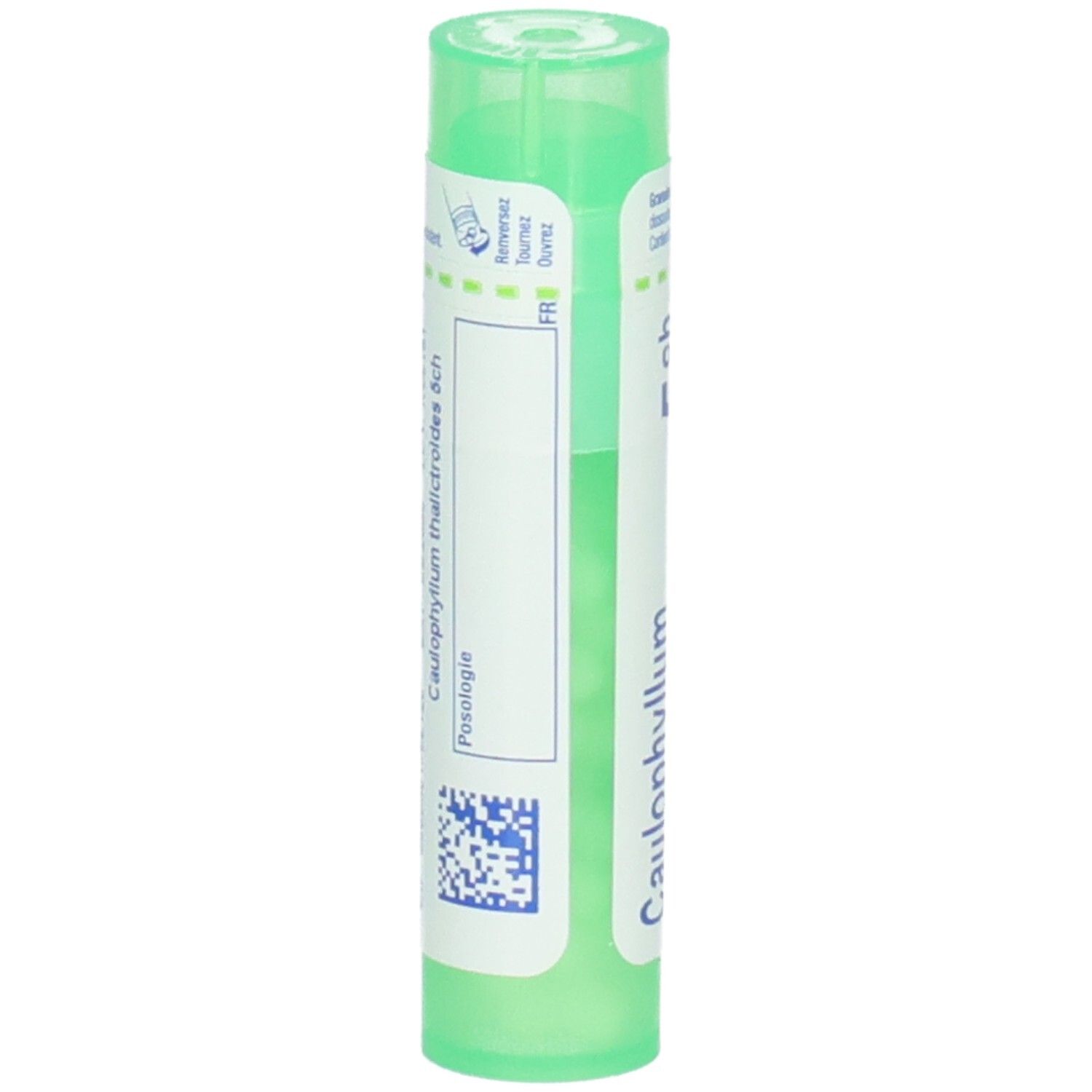 Tube vert avec étiquette blanche, Caullophyllum thalictroides 5 ch, avec code QR.