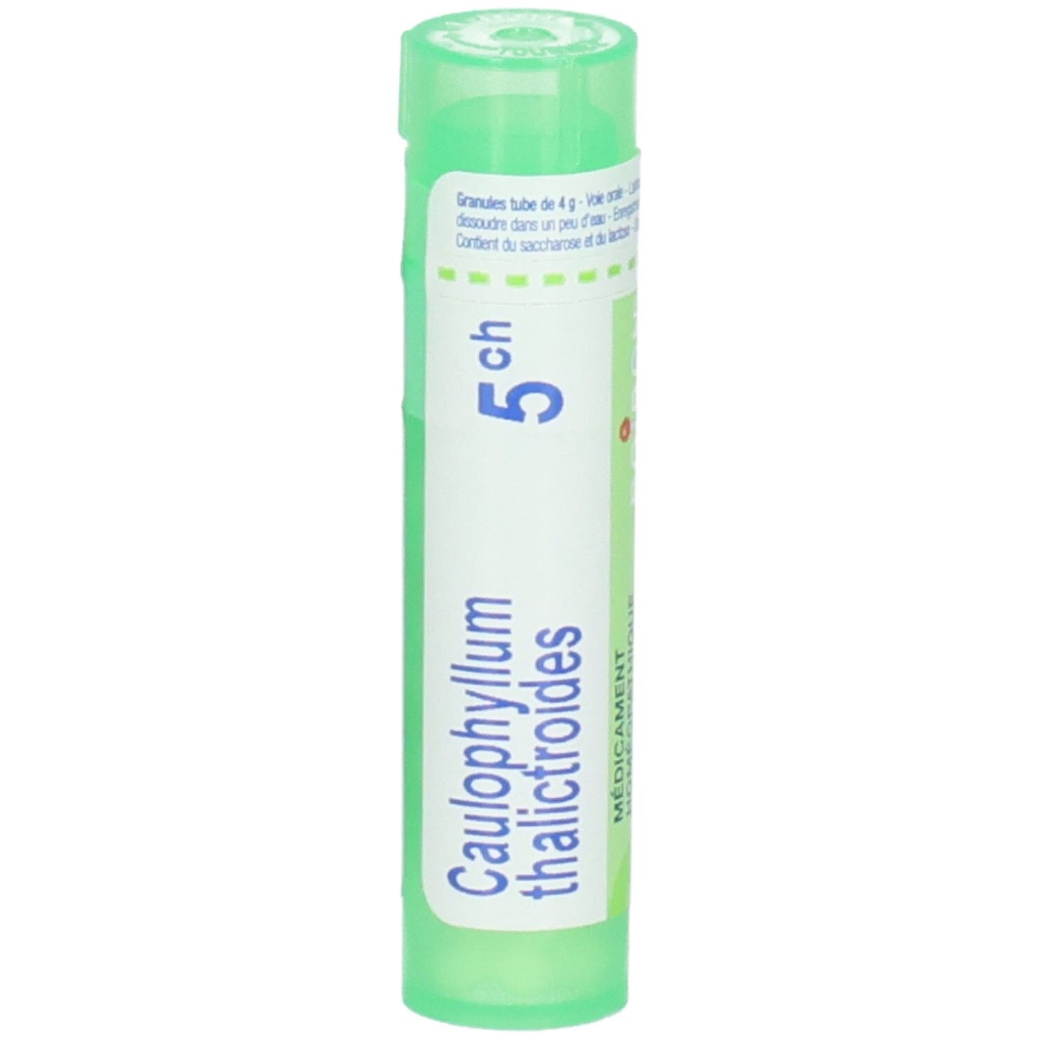 Tube vert avec étiquette blanche, Caullophyllum thalictroides 5 ch, Boiron.