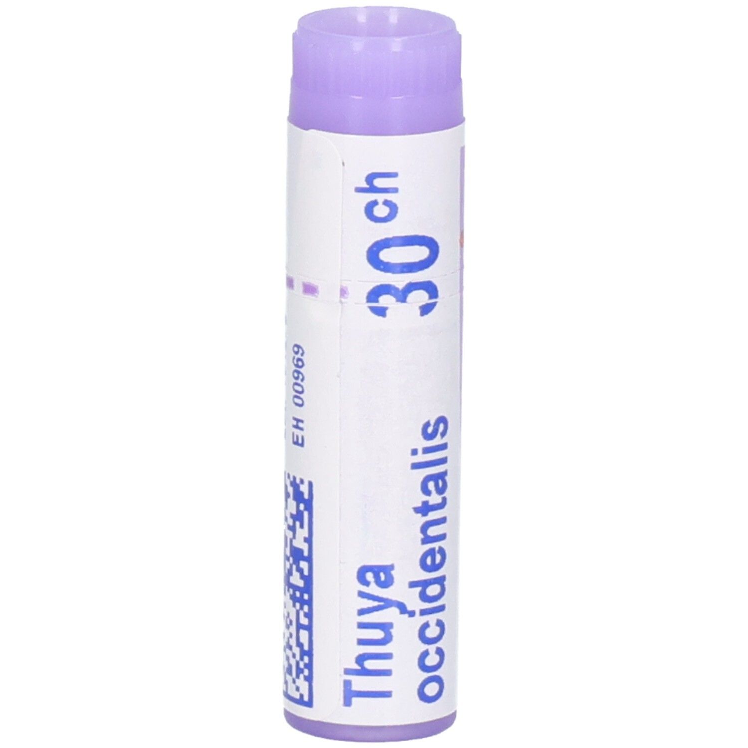 Thuya occidentalis 30 ch tube de granules avec bouchon violet.